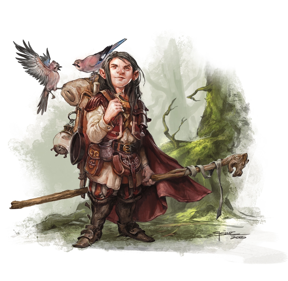 D&D 5e Class Guide: Druids – The Nature Dudes – Cloud 9 Tabletop